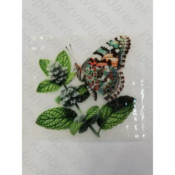 Nažehlovací obrázek na folii - motýl č.1 - 6 x 6 cm