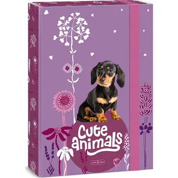 desky na sešit Desky s gumou A4 ARS UNA