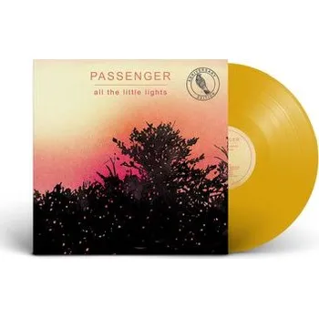 Zahraniční hudba Passenger - All The Little Lights (Anniversary Edition) (Yellow Vinyl) (LP)