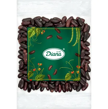Luštěnina Diana Company Fazole červená ledvina 500g