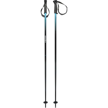 Sjezdová hůlka Hole HEAD FRONTSIDE 381184 – Černá 120