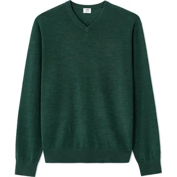 Pánské oblečení Pánský vlněný svetr Celio Semeriv Celio zelená 3504868