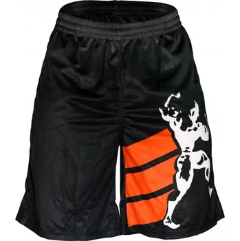 Pánské kraťasy Kraťasy Extrifit 13 (černé) Barva: S - černá