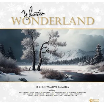 Zahraniční hudba VARIOUS ARTISTS - Winter Wonderland - 14 Christmastime Classics (Gold Marble Vinyl) (LP)