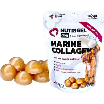 Kloubní výživa LK Baits Pet Kolagen Nutrigel Dog Marine Collagen - L-XL 180g