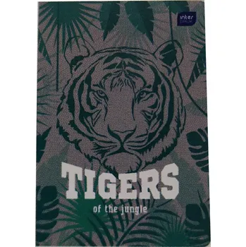 Sešit Sešit A5 s linkami Interdruk, 32 listů