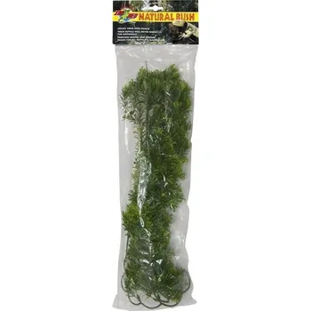 Dekorace do terária Terarijní rostlina ZMD Borneo Star L