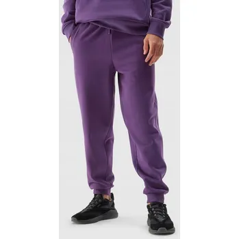 Pánská móda 4F Pánské tepláky zateplené Klasické teplákové kalhoty Joggery TTROM466 > S