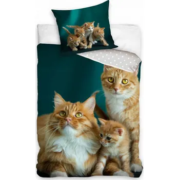 Povlečení Sada povlečení Carbotex 140 x 200 cm, vícebarevné