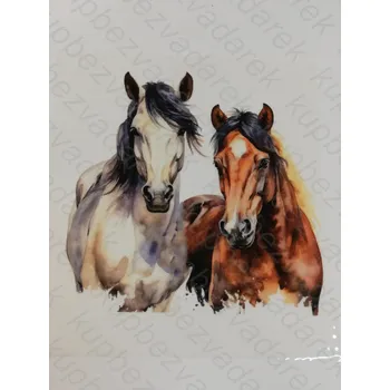 Nášivka Nažehlovací obrázek na folii - koně - 16,5 x 17 cm