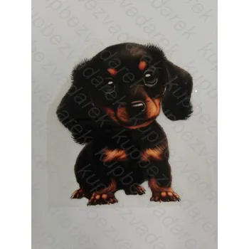 Nažehlovací obrázek na folii - štěňátko č.3 - 10 x 8,5 cm