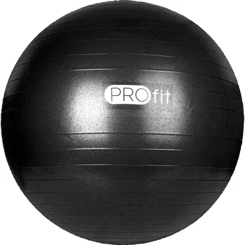 Gymnastický míč Gymnastický Míč Rehabilitační pro Cvičení Fitness 55cm + pumpička