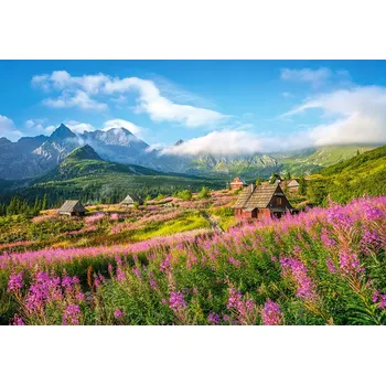 Puzzle Castorland 1000 Piece Puzzle , Hala Gąsieniców, Tatry