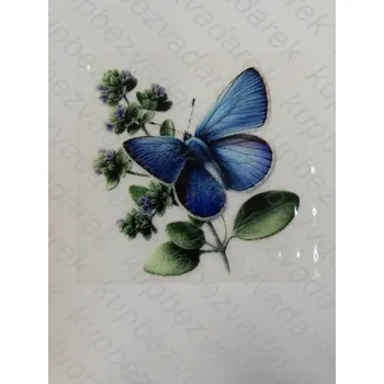 Nažehlovací obrázek na folii - motýl č.20 - 6 x 6 cm