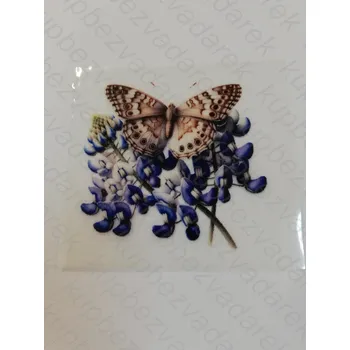 Nažehlovací obrázek na folii - motýl č.4 - 6 x 6 cm