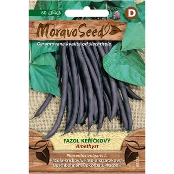 Semeno MoravoSeed CZ a.s. MoravoSeed Fazol keříčkový AMETHYST