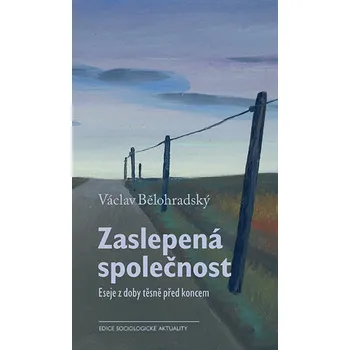 Kniha Zaslepená společnost