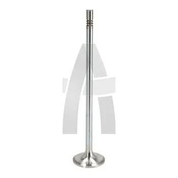 Rozvod motoru Ventil sací RVI GAMA C/K/T 01.13- OE GERMA 080520DXI110