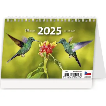 Kalendář Stolní kalendář MINI 14denní - kolibřík