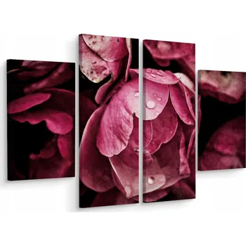 Obraz Obraz Čtyřdílný (Tetraptych) PIVOŇKY Zblízka Příroda 3D 200x150