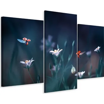 Obraz Obraz TRYPTYCH Berušky ROSTLINY Příroda 3D 90x60