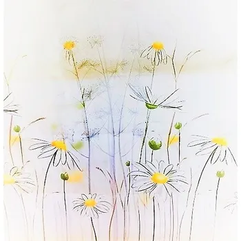 Závěs do sprchy textilní Wela 240 x 200 cm