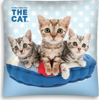 Dekorativní polštářek Halantex Polštář DISNEY CAT 05 3D 40x40 cm