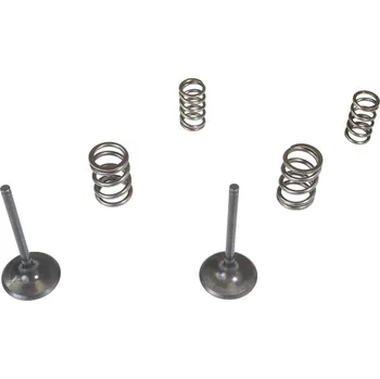 Rozvod motoru WISECO komplet ventilů sacíCH + pružiny KAWASAKI KX 450 F (KXF 450) 06-08 (WISECO komplet ventilů sacíCH + pružiny KAWASAKI KX 450 F (KXF 450) 06-08)