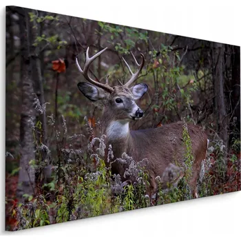 Obraz Obraz do Předsíně JELEN v Lese Příroda 40x30