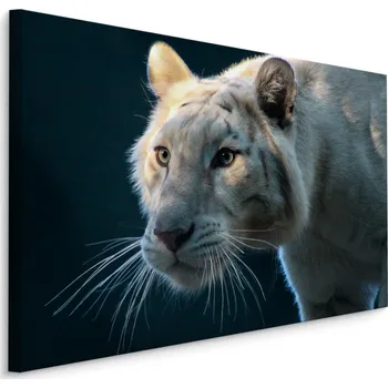 Obraz Obraz Canvas Divoká kočka Tygr Portrét 3D 40x30