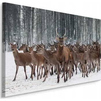 Obraz Obraz do Chodby JELENI Laně Les Krajina 30x20
