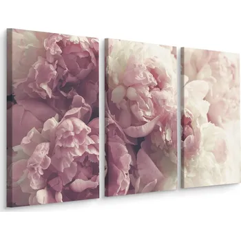 Obraz Obraz Tryptych Kvetoucí PIVOŇKY Příroda 3D 60x40