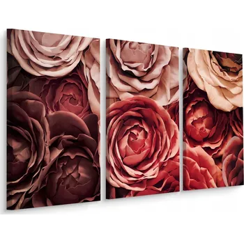 Obraz Obraz Triptych BAREVNÉ Květiny zblízka 3D 60x40