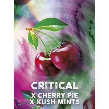 Semeno Tramuntana Seeds - Critical Cherry (VÝPRODEJ) 3 ks