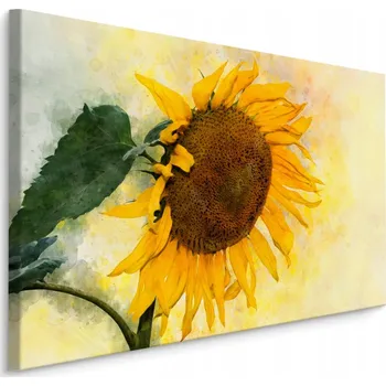 Obraz Obraz do Ložnice květ slunečnice Akvarel 40x30