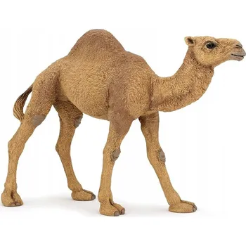 Figurka DROMEDÁR - Dromedáři - PAPO - 50151