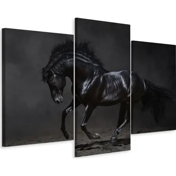 Obraz Obraz Triptych Černý Cvalající KŮŇ Příroda 90x60