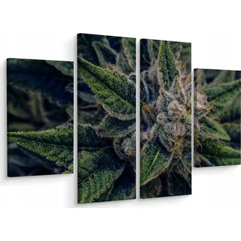 Obraz Čtyřdílný obraz ROSTLINA Konopí Makro 3D 200x150