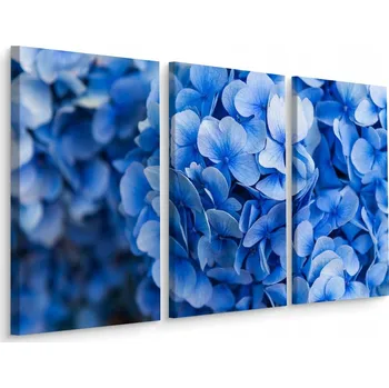 Obraz Obraz Tryptych KVĚTY Hortenzie Příroda 3D 60x40