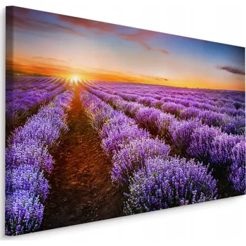 Obraz Obraz do obýváku levandulové pole západ Slunce 30x20