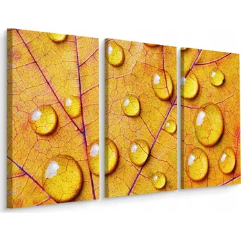 Obraz Obraz Tryptych KAPKY Vody List Zblízka 3D 60x40