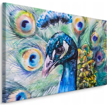 Obraz Obraz páv pták peří 3D akvarel do obýváku 40x30