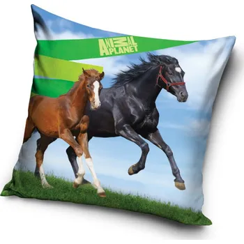 Dekorativní polštářek Carobotex Polštář HŘEBEC A HŘÍBĚ - Animal Planet 40x40 cm