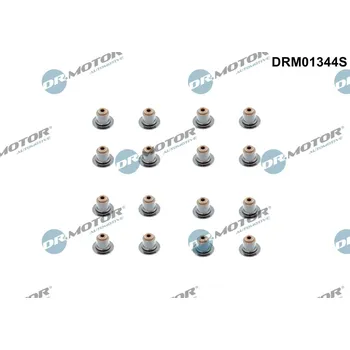 Těsnění motoru Sada těsnění, dřík ventilu Dr.Motor Automotive DRM01344S