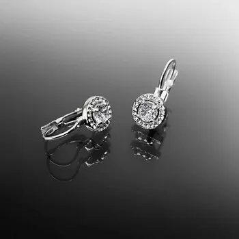 Náušnice Exkluzivní ocelové náušnice zabalené v dárkové krabičce č. 1244 - Čirá