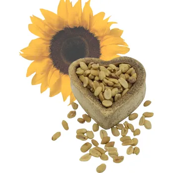 FITBOY Arašídy loupané pražené nesolené 1000g 1000g