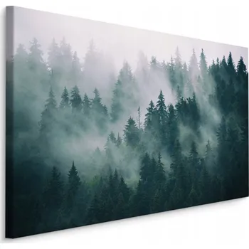 Obraz Obraz na plátně LES V MLZE Krajina 3D 90x60