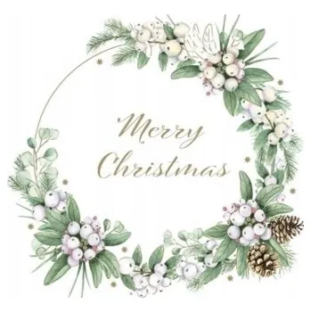 Papírový ubrousek Ubrousky 33 x 33 cm 20 ks papírové