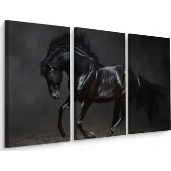 Obraz Obraz Triptych ČERNÝ Kůň v Cvalu Příroda 60x40