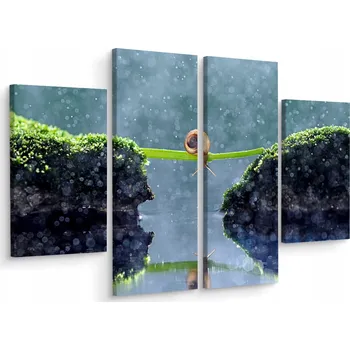 Obraz Obraz 4 Částečné ROSTLINY Hlemýžď Makro 3D 80x60